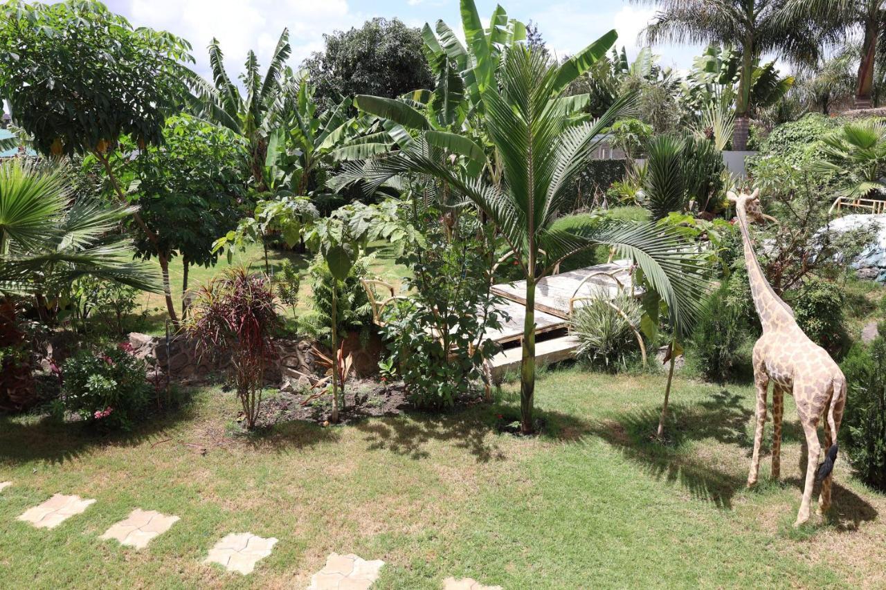 Nanofilter House - Hotel Arusha Dış mekan fotoğraf